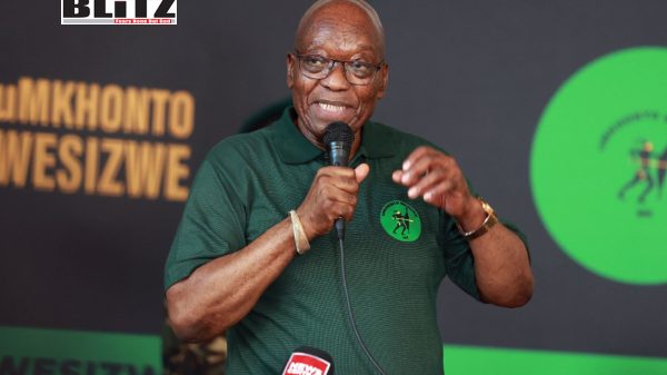 South Africa, African National Congress, Democratic Alliance, 