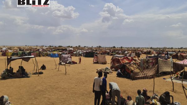 Sudan, United Nations, Second World War, Saudi Arabia, Egypt, Diplomatic, 