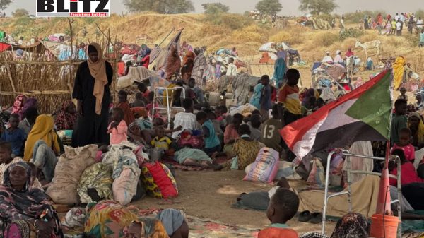 Sudan, Diplomacy, Sudanese, Armed Forces, African, Quad, Eritrea, Egypt, United Nations, 