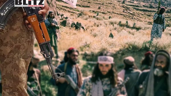 Afghanistan, Islamabad, Tehreek-i-Taliban Pakistan, Taliban, Islamic Emirate of Afghanistan, British, Khyber Pakhtunkhwa, Cold War, Islamic state, Inter-Services Intelligence, Soviet Union, US-Saudi, Islamist, Pakistani, Sharia rule 