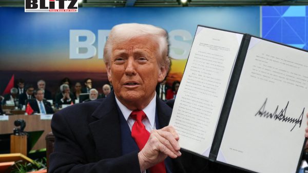 US President Donald Trump, BRICS, Brazil, South Africa, foreign policy, US dollar, de-dollarization, Global order, BRICS nation, Nobel Peace Prize, US-China, World Health Organization, UNESCO, UN Human Rights Council, Diplomacy, Jair Bolsonaro, Luiz Inácio Lula da Silva, 