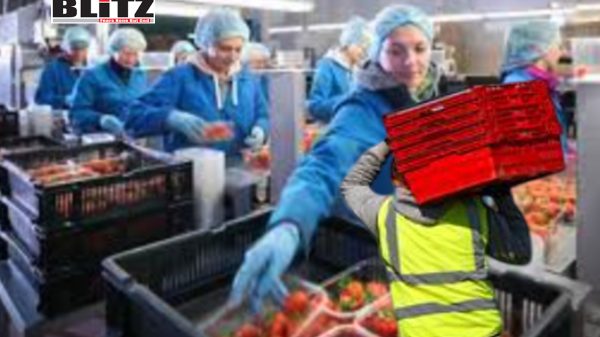 Labour government, Brexit, pipeline, Britain, Central Asia, South America, Eastern Europe, workforce, Scotland, Immigration, 