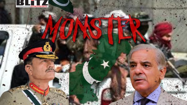 South Asia, Militants, Afghanistan, Tehreek-e-Taliban Pakistan, Radical, Inter-Services Intelligence, Afghan Taliban, jihadist, ecosystem, Afghans, Central Asia, China-Pakistan Economic Corridor, Lashkar-e-Taiba, Pakistani Taliban, Jaish-e-Mohammed, Haqqani Network, 