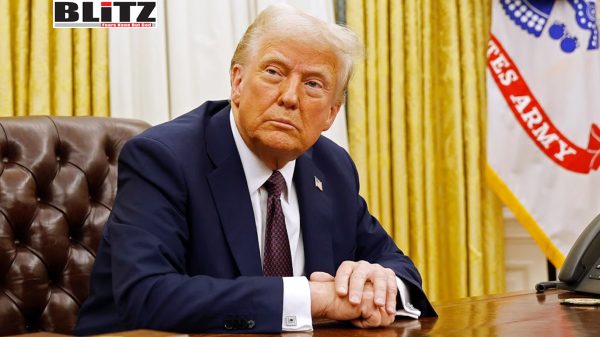 Donald Trump, Elon Musk, US government, Truth Social, electric vehicle, Democrat, Republican, South Africa, Tesla, SpaceX, NASA, Innovation, American, 