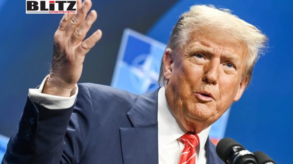 Trump demands NATO allies pay full price for US weapons sent to Ukraine