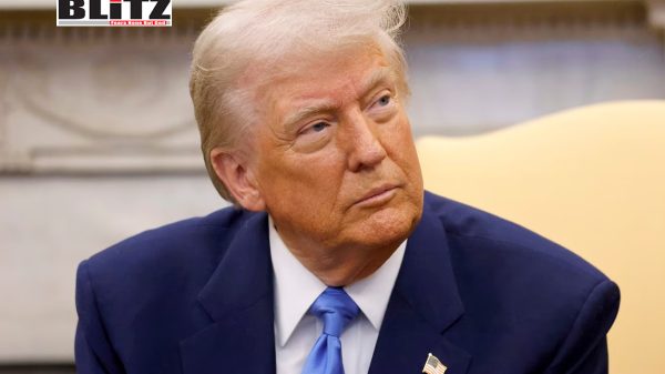 US President Donald Trump, Diplomatic, the White House, Kiev, Joe Biden, NATO, Ukrainian President Vladimir Zelensky, US military, Moscow, European, US election 