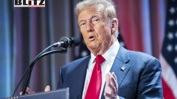 US President Donald Trump, BRICS, US dollar, the White House, South Africa, US national security, foreign policy, Nigeria, Kazakhstan, Bolivia, Thailand, Global South, America First