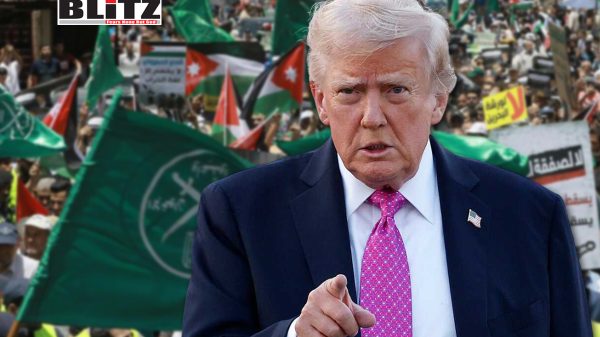 Muslim Brotherhood, Donald Trump, US officials, the White House, Islamophobia, Egypt, Jordan, Senator Ted Cruz, Islamist, American, Democrats, Hamas, Middle East, Germany, United Kingdom, Muslims, Anti-Muslim, 