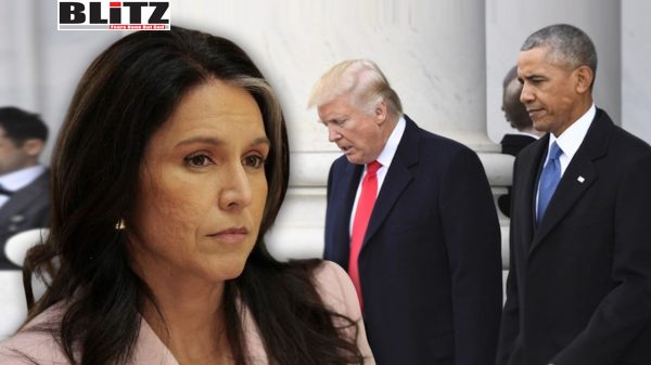 National Intelligence, Tulsi Gabbard, Obama, RussiaGate, Donald Trump, Democratic, Department of Homeland Security, National Security Adviser, FBI, Christopher Steele, British spy, Trump campaign, Moscow, James Comey, President Obama, criminal
