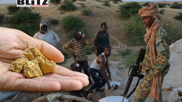 Sudan, Sudanese, United Arab Emirates, Dubai, corruption