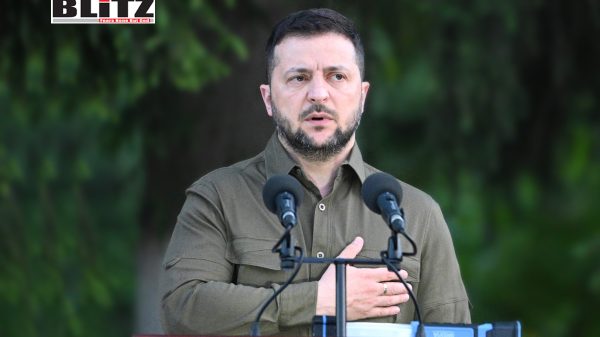 Volodymyr Zelensky, Zelensky, Presidential elections, Russia